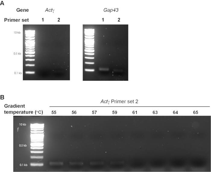 figure-results-3