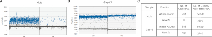 figure-results-4