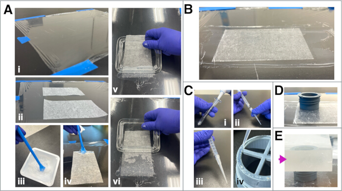Hydrogel synthesis method; step-by-step diagram of gel formation and extraction using lab tools.