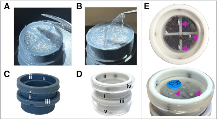 Hydrogel absorption system diagram, showcasing structural assembly for fluid interaction analysis.