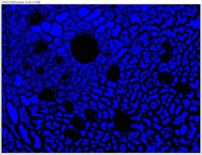 figure-results-10 Microscope image of porous material cross-section, highlighting structure for absorption analysis.