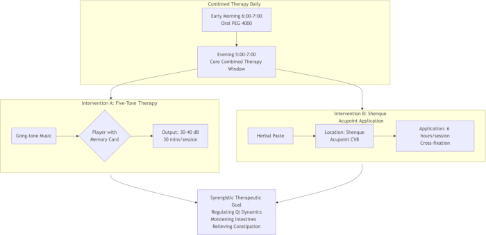Combined therapy process diagram; includes five-tone therapy, acupoint application; therapeutic goals.