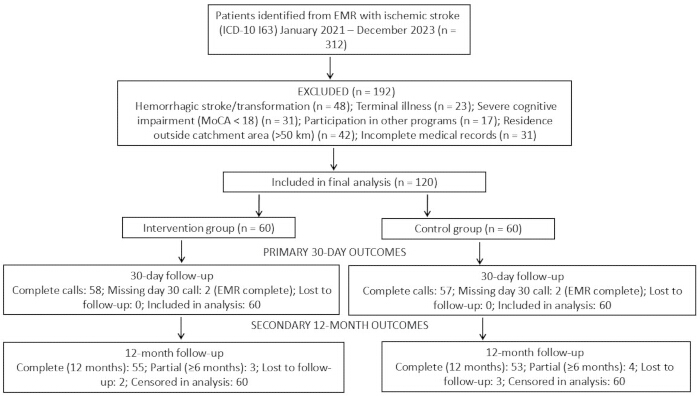Flowchart of stroke study inclusion criteria, exclusions, outcomes; research data visualization.