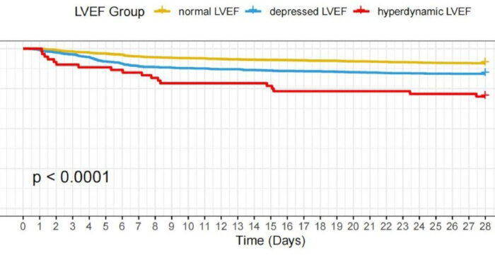 figure-results-2 Kaplan-Meier diagram showing LVEF group survival over 28 days, p < 0.0001, LVEF analysis.