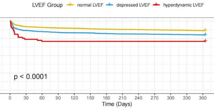 figure-results-3 Kaplan-Meier graph; LVEF analysis over time; survival rates for normal, depressed, hyperdynamic LVEF.