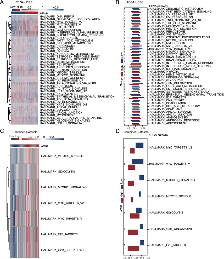 Mining in Endometrial Cancer Based on the TCGA Database and ...
