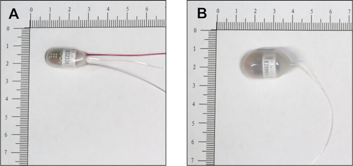 figure-results-1 Medical device size comparison; diagram with rulers showing capsule dimensions.