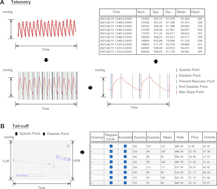 figure-results-7 Telemetry and tail-cuff blood pressure measurement diagram with data analysis tables and graphs.