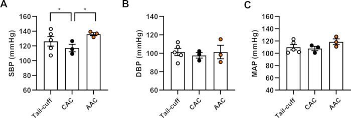 figure-results-9 Blood pressure comparison bar graph; SBP, DBP, MAP in Tail-cuff, CAC, AAC. Statistical analysis.