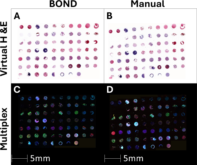 figure-results-2 BOND与手动组织染色的比较;虚拟H&E和多重检测方法;示意图