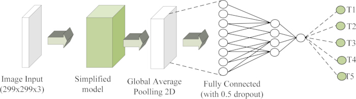 Neural network diagram; input 299x299x3, global average pooling, fully connected, dropout 0.5
