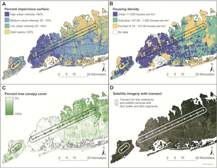 Urban analysis maps; diagrams of impervious surfaces, housing density, tree canopy, transect data.