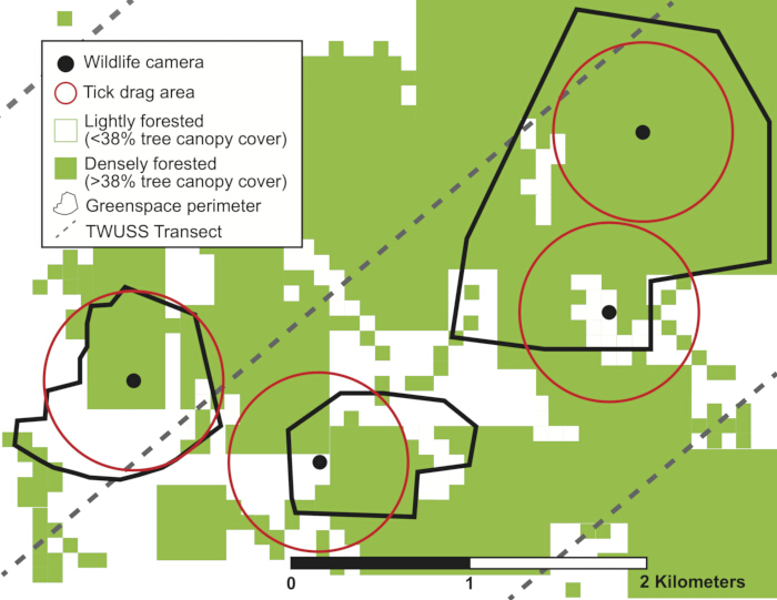Wildlife camera placement map; tick drag areas, forest density, and transects in urban greenspace.