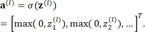 Neural activation equation, vectorized ReLU formula, mathematical expression, deep learning calculation.