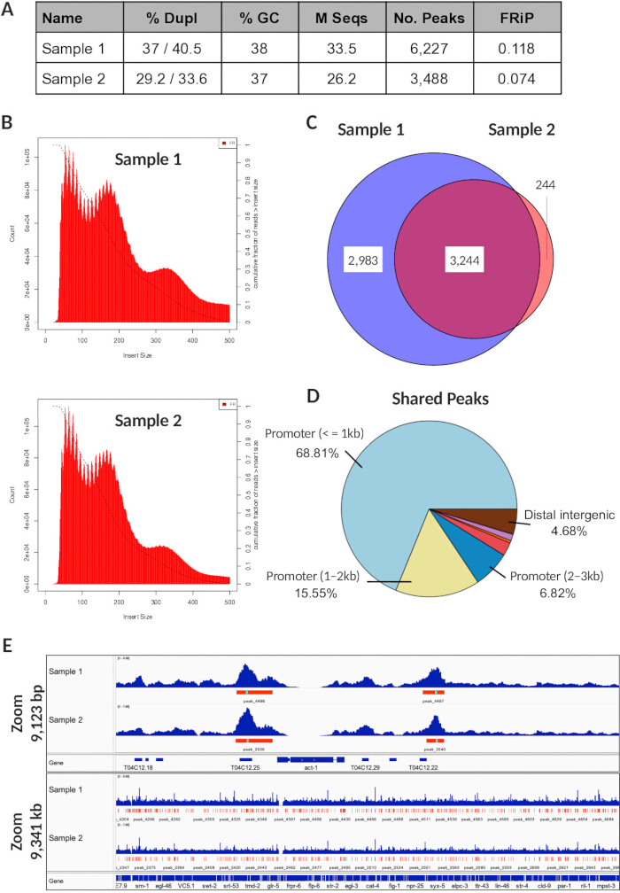 ChIP-seq data analysis: table, histogram, Venn diagram, pie chart, genomic peak distribution.