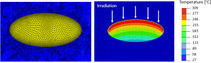 Thermal simulation diagram: irradiation and heat distribution in an elliptical object.