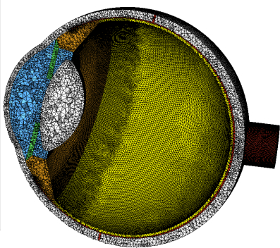 Cross-section diagram of eye model with mesh structure for computational analysis in optics study.