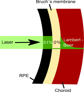 Laser absorption diagram; Lambert-Beer law; light penetration; eye tissue layers; optical study.