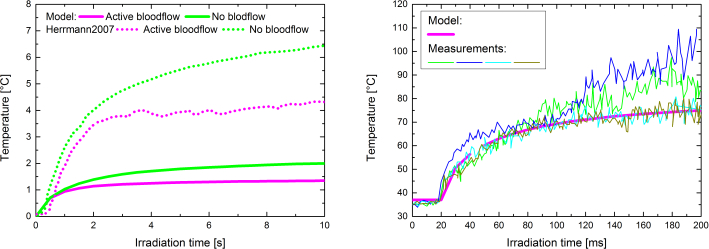 Temperature vs. irradiation time graph; compares active vs. no blood flow models and measurements.