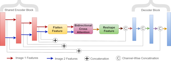 Neural network model diagram; shared encoder, bidirectional attention, feature concatenation.