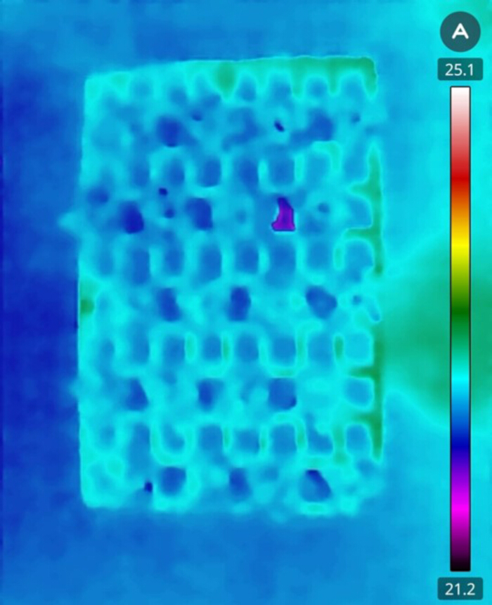 figure-results-12 Thermal imaging showing heat distribution, diagram with temperature scale for scientific analysis.