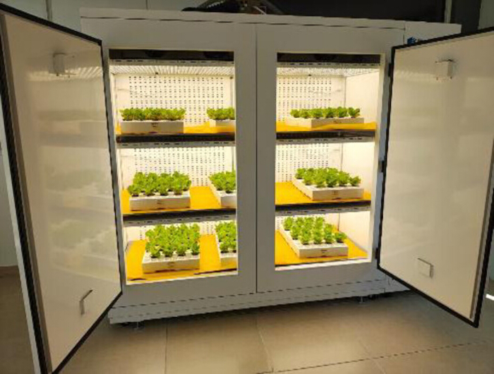 figure-results-5 Hydroponic growth chamber diagram; seedling cultivation setup for plant research studies.
