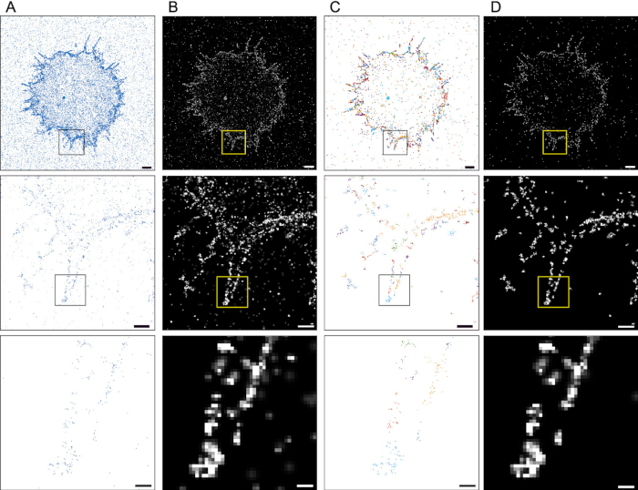 Cellular microscopy analysis; diagrams illustrating particle tracking and density visualization.