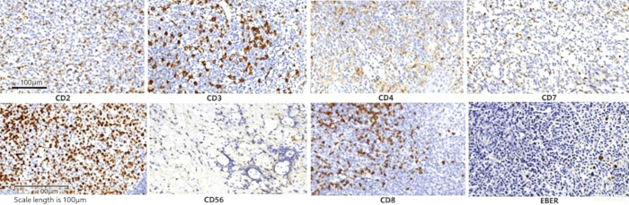 figure-results-2