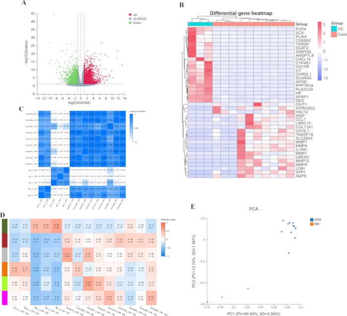 Gene expression analysis: volcano plot, gene heatmap, correlation heatmaps, PCA chart, data visualization.