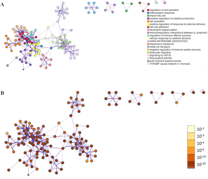 Gene interaction network; graph analysis of immune response pathways; bioinformatics results.