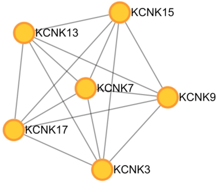 Network diagram illustrating KCNK protein interactions.