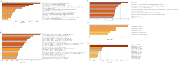 Bar charts depicting gene ontology and pathway analysis; segmented by categories A-E; data comparison.