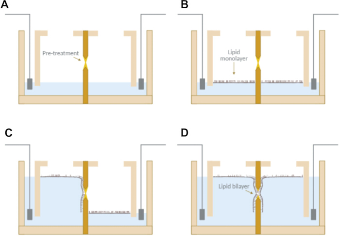 figure-protocol-2 figure-protocol-2