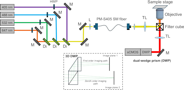 figure-results-2 Optical excitation setup for multi-wavelength laser input diagram; includes dual-wedge prism, objective.