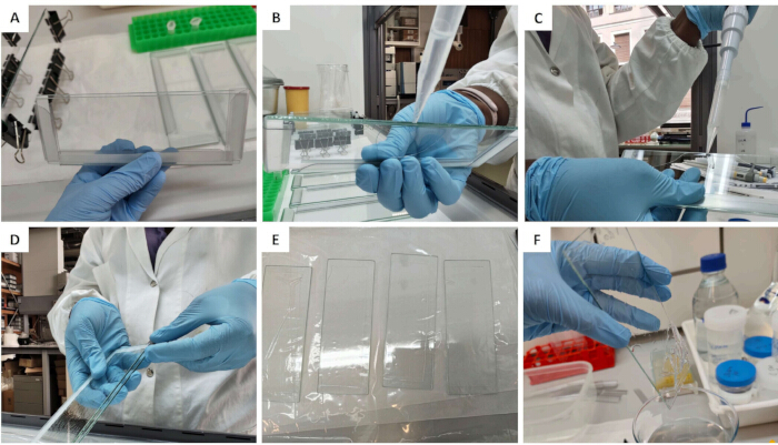 Thin layer chromatography; lab setup; glass plates, pipettes, samples; analytical technique.