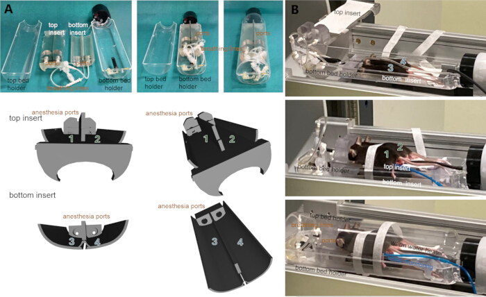 Anesthesia system diagram and setup, features top-bottom inserts, ports, and structural details.