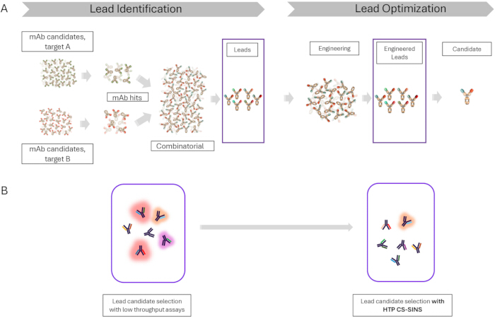 figure-results-1 Monoclonal antibody optimization diagram; lead identification, combinatorial engineering.