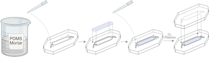figure-results-2 PDMS casting and bonding process diagram; micropatterning, oxygen plasma treatment, microfluidics.
