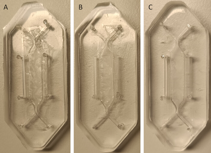 figure-results-6 Organ-on-chip devices: fluidic channels diagram, simulating biological microenvironments, study setups.