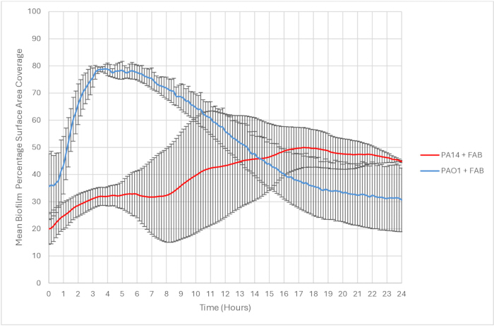 figure-results-2 Biofilm growth dynamics; line graph; PA14 + FAB vs PAO1 + FAB; time vs surface area coverage.