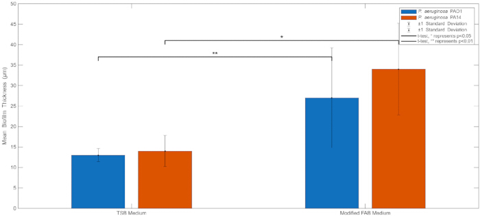 figure-results-5 Biofilm thickness comparison; bar chart shows P. aeruginosa PAO1/PA14 in TSB and Modified FAB Media.