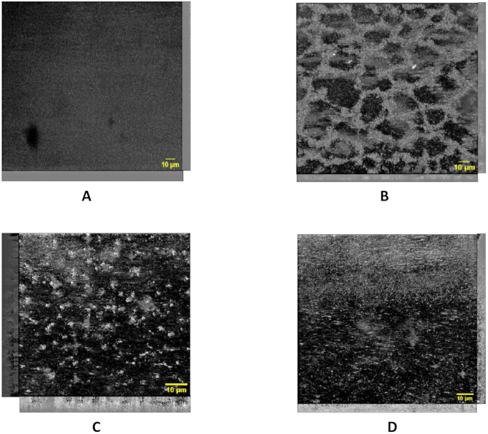 figure-results-7 Microscopy results showing surface morphology at 10 μm scale; microstructure analysis diagram.