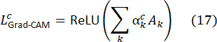 Grad-CAM equation for neural network visualization, showing ReLU activation and weighted summation.
