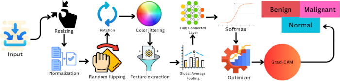 figure-protocol-2 Deep learning pipeline diagram: image preprocessing, feature extraction, classification, Grad-CAM results.