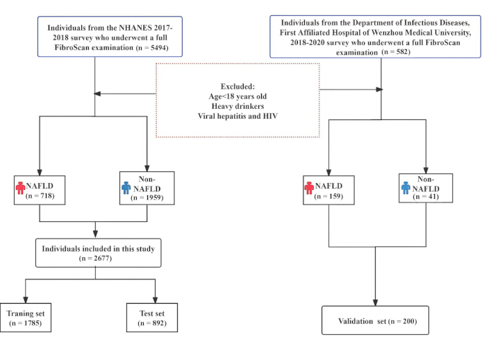 Flowchart of NAFLD study; FibroScan data; selection, exclusion criteria, training, test, validation sets.