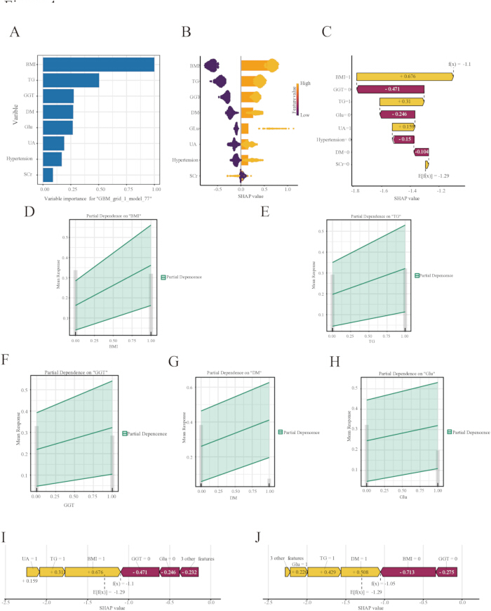 Variable importance and SHAP value analysis charts for medical prediction model; includes partial dependence plots.