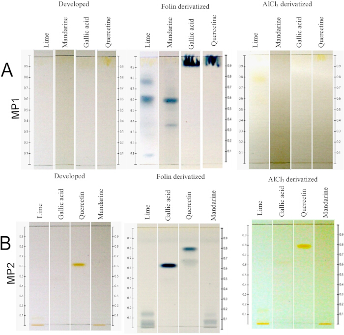 figure-results-3 Thin layer chromatography results; lime, mandarine, gallic acid, quercetin; developed, derivatized samples.