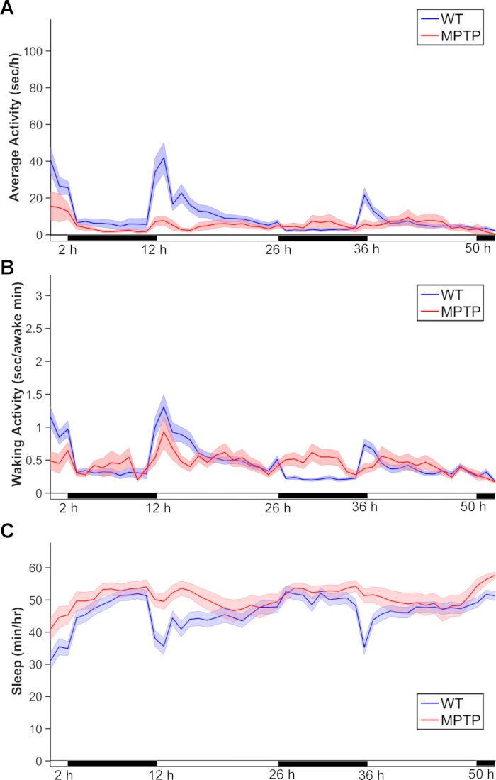 Activity, waking, sleep patterns in WT vs. MPTP; line graphs; behavioral study comparison data.
