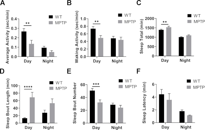 Bar charts comparing WT and MPTP effects on activity, sleep, and latency during day and night.