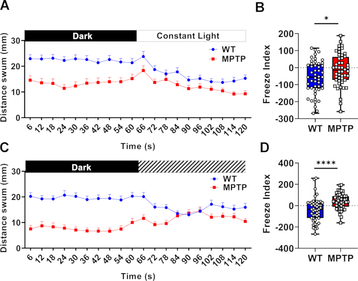 Swim distance and freeze index graphs; WT vs. MPTP; behavioral experiment results; line and bar charts.